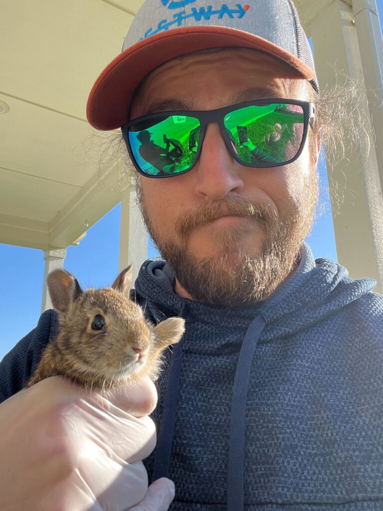 Squirrel Removal Pasco